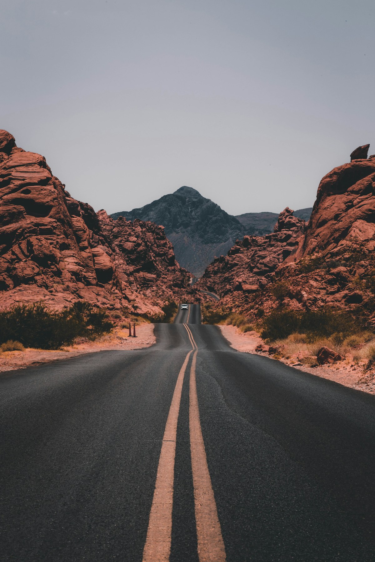 成年啪啪网站免费播放看免费视频在线观看与内容指南